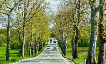 Hotels mit Parkplatz in Kozina