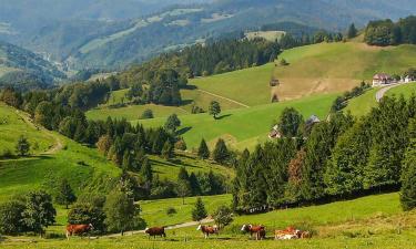 Apartmaji v mestu Menzenschwand