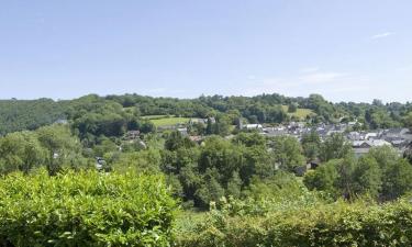 Hoteles que admiten mascotas en Dulverton