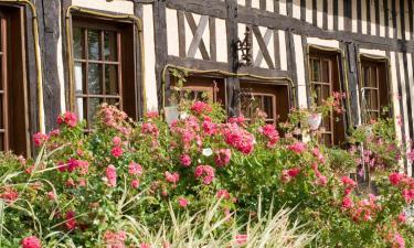 Hotels in Chaumont-sur-Tharonne