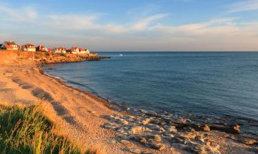 Maisons de vacances à Audresselles