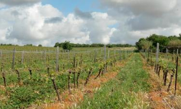 Holiday Rentals in Fabrègues