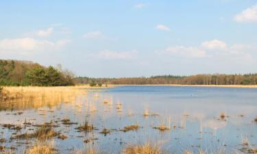 Vakantiewoningen in Leersum