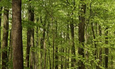 Parkolóval rendelkező hotelek Torneschben