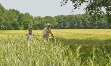 Bed and breakfasts en Overpelt