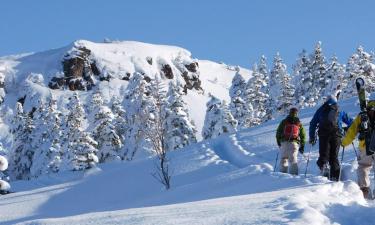 Alquileres vacacionales en Saint-Nicolas-de-Véroce