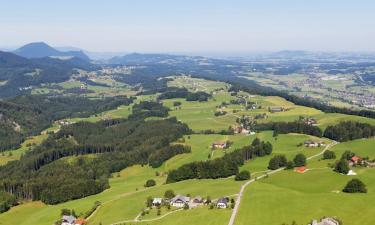 Cheap hotels in Thalgau