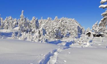 Atostogų nameliai mieste Gautefall