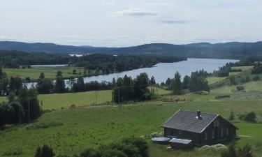 Järvsö şehrindeki oteller