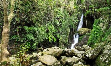 Hoteles con alberca en Jalcomulco