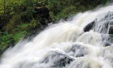 Ferieboliger i Trois-Ponts