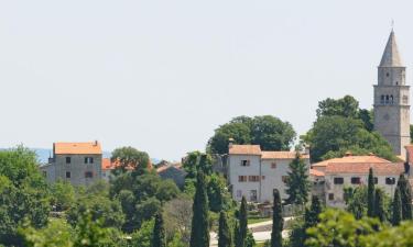 Cottages in Gračišće