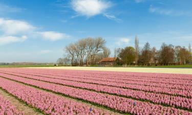 Family Hotels in Sassenheim