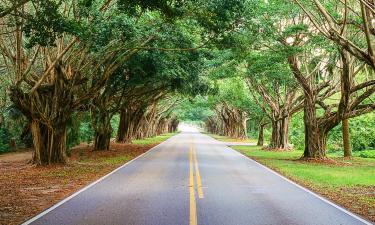 Viesnīcas ar autostāvvietu pilsētā Hobe Sound