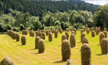 Alojamentos para fÃ©rias em Rožnov