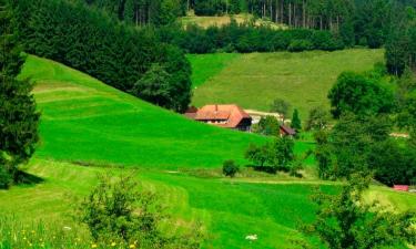 Apartamentos em Herbolzheim