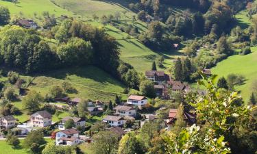 Hotels met Parkeren in Waldenburg