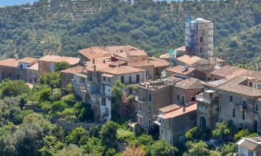 Holiday Rentals in Cannicchio