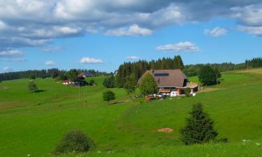 Holiday Rentals in Erlenbach