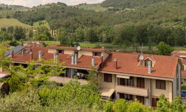 Hoteles baratos en Camaione