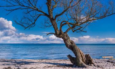 Sewaan penginapan tepi pantai di Humlebæk