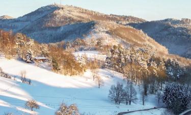 Hoteluri cu parcare în Zell im Wiesental