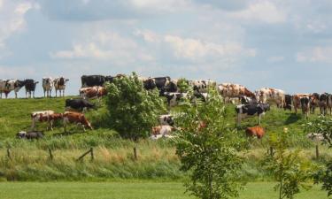 Vakantiehuizen in Anjum