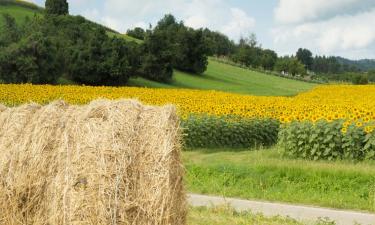 B&Bs in Sasso Marconi