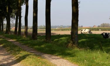 Hoteli u gradu 'Oostkamp'