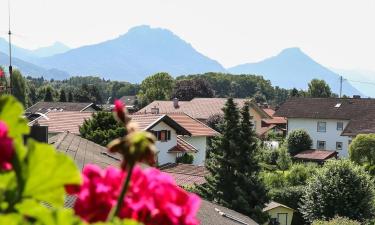 Hoteluri cu parcare în Reischenhart