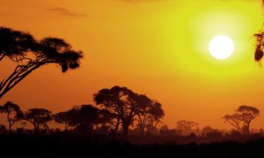 Campo Grande'deki daireler