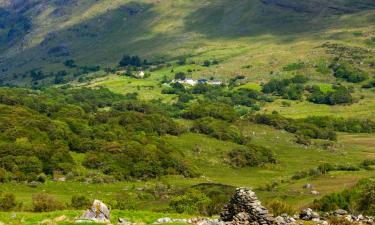 Holiday Homes in Blackwater