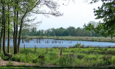 Hoteles en Eernewoude