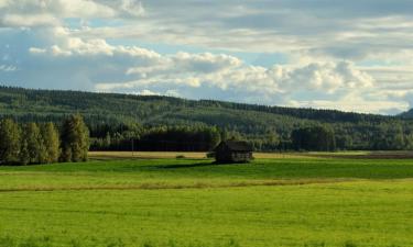 Cottages in Insjön