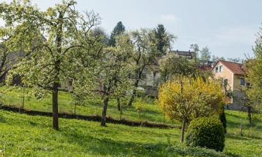 Atostogų būstai mieste Gräfenberg