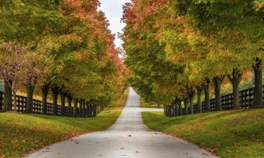 Hoteles con parking en Versailles