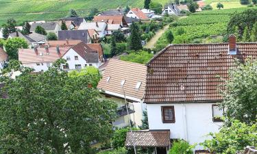 Hoteles con parking en Gleisweiler