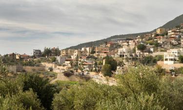 מקומות אירוח בשירות עצמי בעין אל-אסד