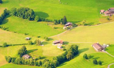 Apartments in Goldiwil