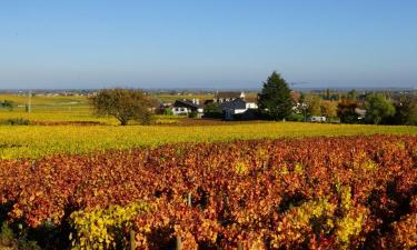 Holiday Rentals in Chassagne-Montrachet