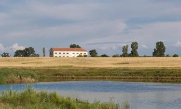 Hoteles familiares en Urziceni