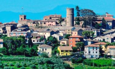 Holiday Rentals in Mondolfo