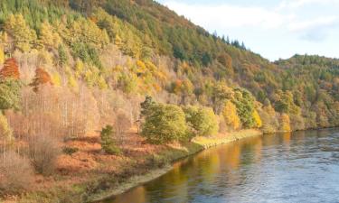 Holiday Rentals in Birnam