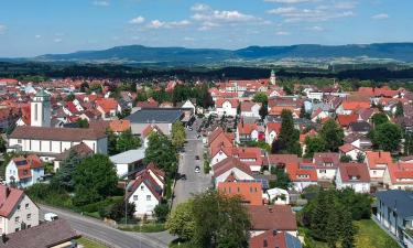 Loma-asunnot kohteessa Trossingen