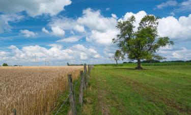 Case per le vacanze a Ospel