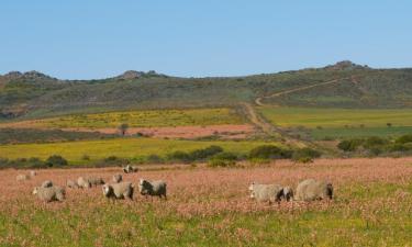 Hoteles en Balgowan