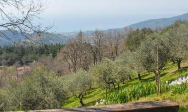 Bed & Breakfasts in Tortorella