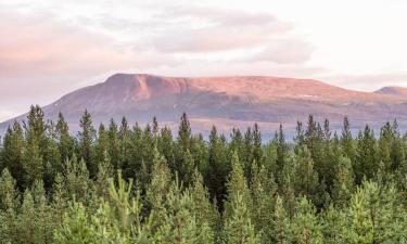 Hotell med parkering i Hede