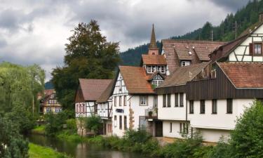 Apartments in Schiltach