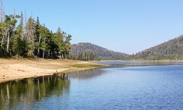 Hoteles en Duck Creek Village